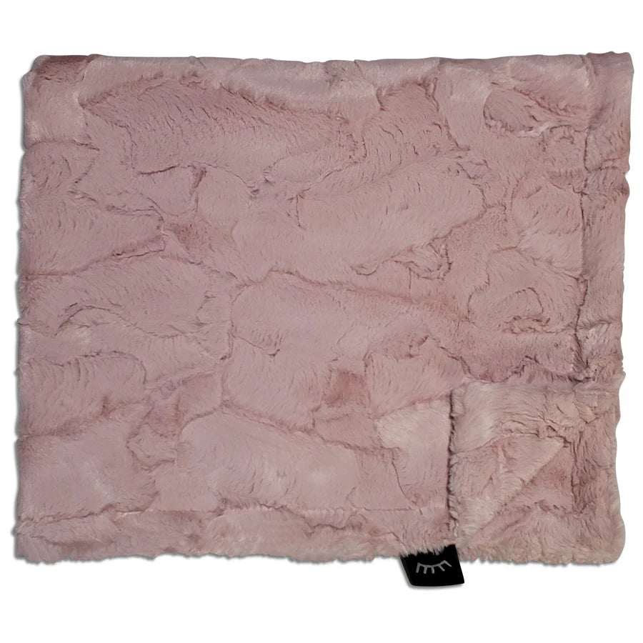 Winx and Blinx Cozy Mauve DS Minky Blanket