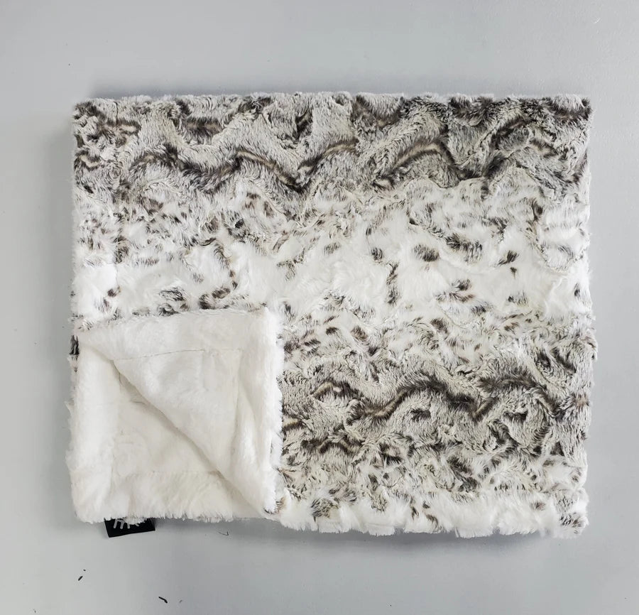 Winx and Blinx Owl Stone Minky Blanket